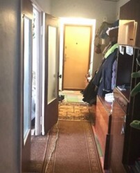 ��������� �������� ������ ���������, 24, ������������, �����������, ����� ���� 5