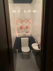 ��������� �������� ������ �������� ����, ������������, �����������, ϳ������-�������� ���� 1