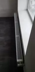 ��������� �������� ������ �����������, 11/3, ������������, �����������, ������� ������ ���� 8