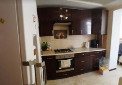��������� �������� ������ ��������� 5, ������������, �����������, ������ ���� 3
