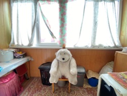 ������ 2�.��. � �.�����������, ��� ���, ��� ������ ����� �������! ���� 2