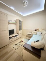   2-       5 ,  ,  !   2-    ,  !  12