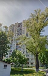 ������ 1-������� �������� ���� 14