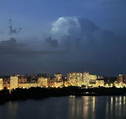 ������ ���������� �������� �� �Welcome Home� ���� 11