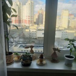 ������ 3-�� �������� ����� ������� ���� 9