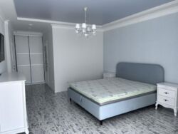 ����������� ��������� 25 ������ ���� 14