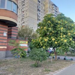 ������ 3-�� �������� ����� ������� ���� 4