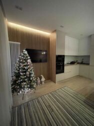 ����� �������� ���� 5