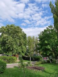 ������� 3 � ����. �������� ����� ' ������������' ���� 13