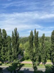 2-� ����������� ��������� ���� 1