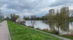 ������ 1-������� �������� ���� 16