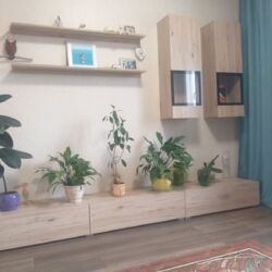 ������ 3-�� �������� ����� ������� ���� 6