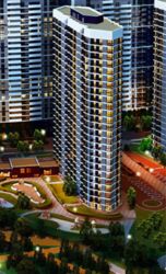 �� �������� , ���� �� ������ ���� 3