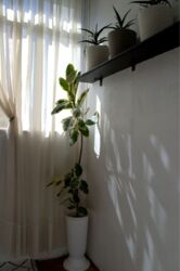 3-����.��, ��.������ 3 ���� 9