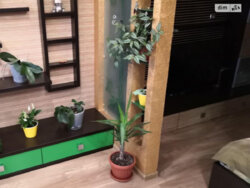 1� �� ����-�� ���� 6