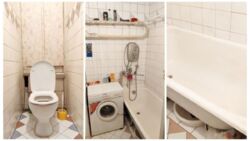 ������ ������ �������� �� ���.�����,8 ���� 12