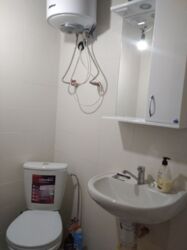 ��������� �������� ������������, 7, ����, �����������, �. ������� ���� 7