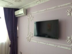 ���, ����� �������, ����������� 40�, 3-� ������� ��������. ���� 6