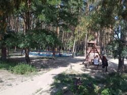 ������� 1-� �������� �� ������ ����� ���� 17