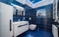 ������������� �������� ������� ���� 7