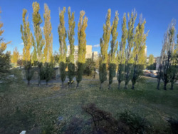 1-� ������ ����������, 9� ���� 16