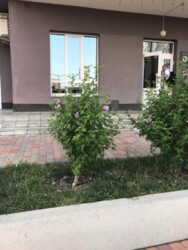 2-� �� ���������� ���� 1