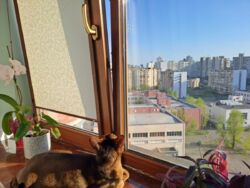 ������ 3� ������� �������� �������� 13 ���� 12