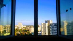 ����� 26,5 �.��. ��������� ����� ���� 14