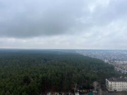 ������ ����������� �������� �� ������ �����, �. ������������ ���� 16