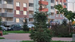 1-� ������ 7� ���� 11