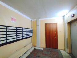 ������ 3 ���. (85 �), 5 ��. �����, � �������� ���� 20