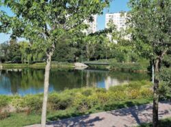 ������ 1-������� �������� ���� 17