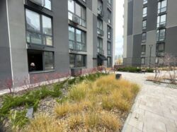 ������ �������� '��������' ��. ��������,6 ���� 3