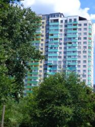 ��������� �������� ������������, 7, ����, �����������, �. ������� ���� 2