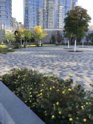 ������� 1� �������� �� RiverStone ���� 7