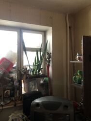 1-� ��. �������� ���� 1