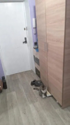 2-� ��.�������������, 32� ���� 6