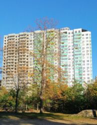 ����� 26,5 �.��. ��������� ����� ���� 4