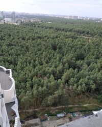 �� ������ �����/����� �������� ���� 4