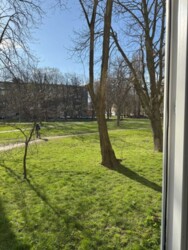 ��������� �������� ����, ������������� ���� 3