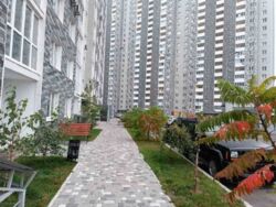 �� ��������� ���. ����������,54� ���������� ���� 11