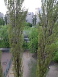 ������� 3 � ����. �������� ����� ' ������������' ���� 14