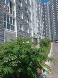 �� ��������� ���. ����������,54� ���������� ���� 2