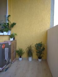 ��������� �������� ������������, 7, ����, �����������, �. ������� ���� 4