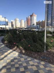 ������� 1� �������� �� RiverStone ���� 6