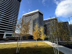 �� Great (�����) �������� 5 ��� 1 �� 1�1=71 000 $ ���� 14