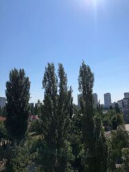 3-� ��������� ���� 11