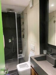 ������ 4� ��������, 142�2, �� ������, ������ ����� 21, �������� ���� 3