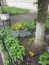 ������� 3 � ����. �������� ����� ' ������������' ���� 19