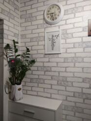 ��������� �������� ������������, 7, ����, �����������, �. ������� ���� 1